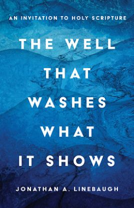 Picture of The Well That Washes What It Shows