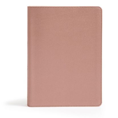 Picture of CSB She Reads Truth Bible, Mauve/Rose Leathertouch