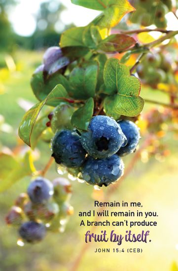 Picture of Word Alive! Weekly Bulletin without Message-Week 17, Legal Size (Package of 25)