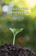 WordAlive Weekly Bulletin without Message-Week 24, Regular Size (Package of 25)