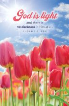 Word Alive! Weekly Bulletin with Message-Week 14, Letter Size (Package of 25)