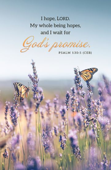 Picture of Word Alive! Weekly Bulletin without Message-Week 26, Legal Size (Package of 25)