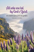 Word Alive! Weekly Bulletin without Message-Week 21, Letter Size (Package of 25)