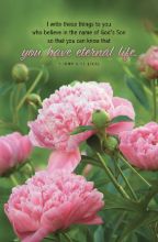EXTRA Word Alive! Weekly Bulletin Mother's Day, Legal Size (Package of 25)
