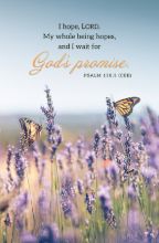Word Alive! Weekly Bulletin without Message-Week 26, Letter Size (Package of 25)