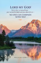 Word Alive! Weekly Bulletin without Message-Week 15, Letter Size (Package of 25)