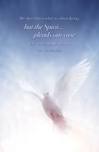 Word Alive! Weekly Bulletin without Message-Week 20, Letter Size (Package of 25)
