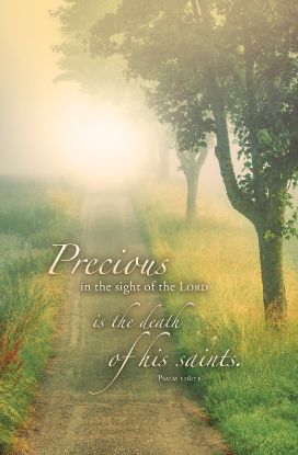Picture of Precious in the sight of the Lord Funeral Regular Size Bulletin
