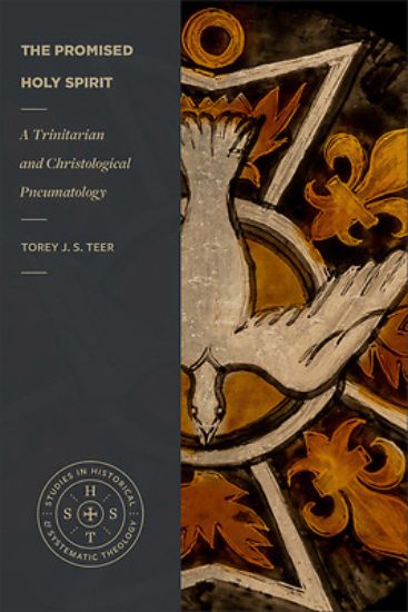 Picture of The Promised Holy Spirit