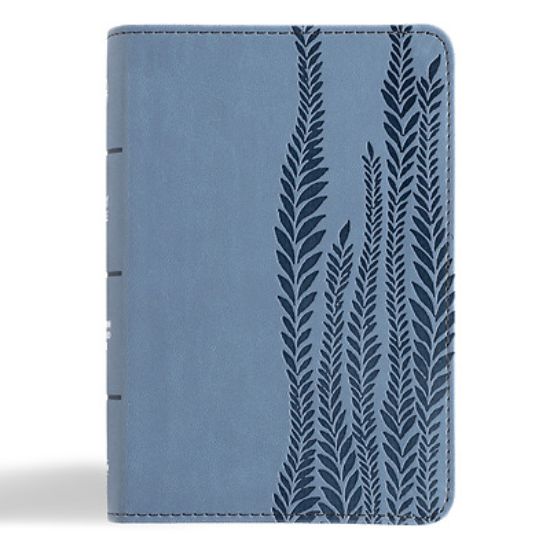 Picture of CSB Large Print Compact Reference Bible, Digital Study Edition, Slate Leathertouch