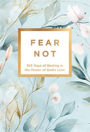 Picture of Fear Not
