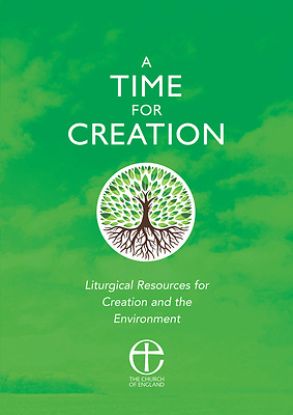 Picture of A Time for Creation