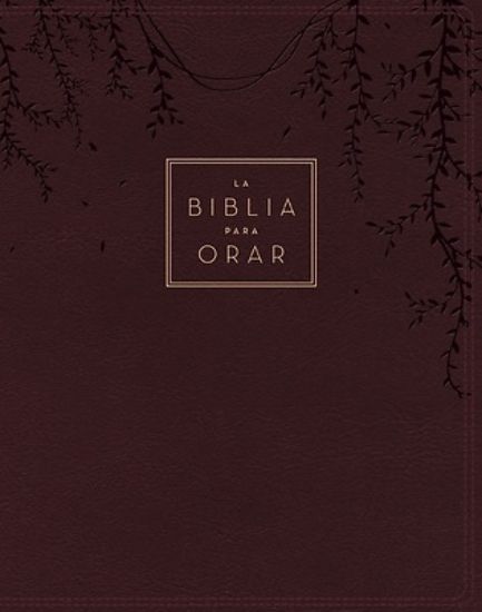 Picture of Rvr60, La Biblia Para Orar, Leathersoft, Rojo Vino, Palabras de Jesús En Rojo, Comfort Print