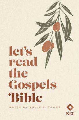 Picture of Let's Read the Gospels Bible