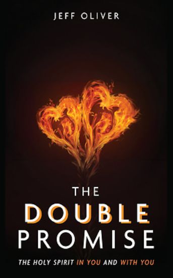 Picture of The Double Promise