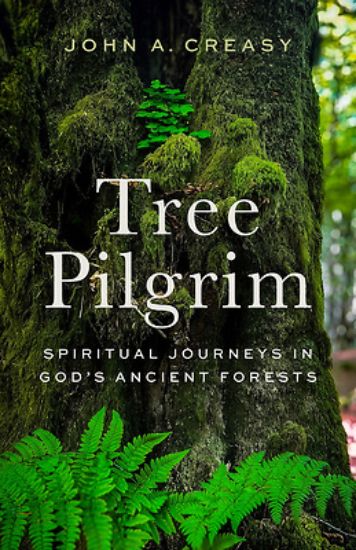 Picture of Tree Pilgrim
