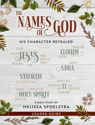 Picture of The Names of God Women's Bible Study Leader Guide