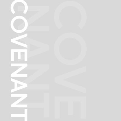 Picture of Covenant: Woman Wisdom and the Wise Wife Video