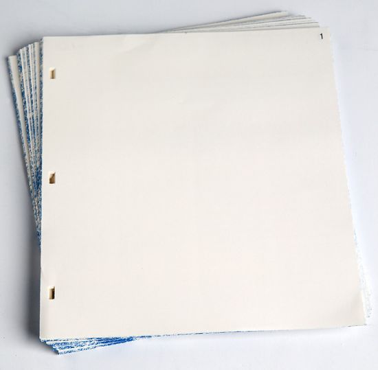 Picture of Minutes of Session Numbered Extra Sheets - 9-3/4" x 11"
